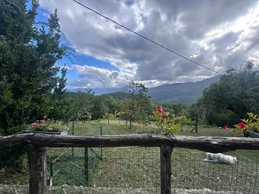 Immagine 4 di Casa indipendente in vendita  a Pontremoli