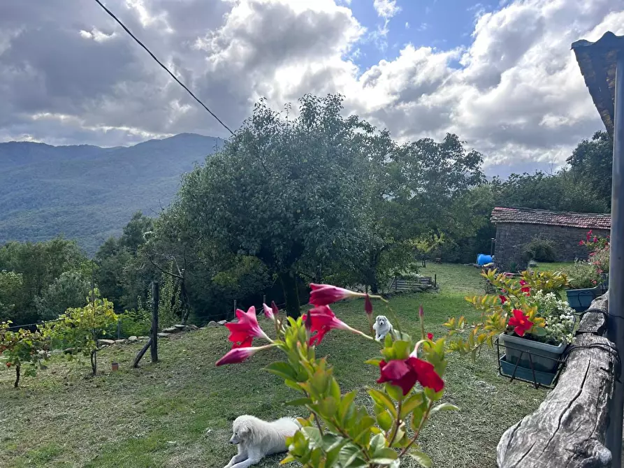 Immagine 3 di Casa indipendente in vendita  a Pontremoli