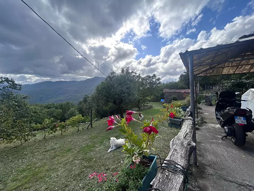 Immagine 1 di Casa indipendente in vendita  a Pontremoli