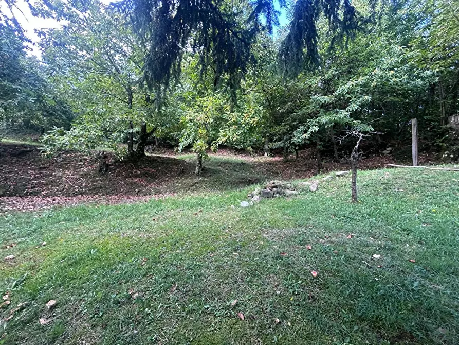 Immagine 9 di Casa indipendente in vendita  a Pontremoli