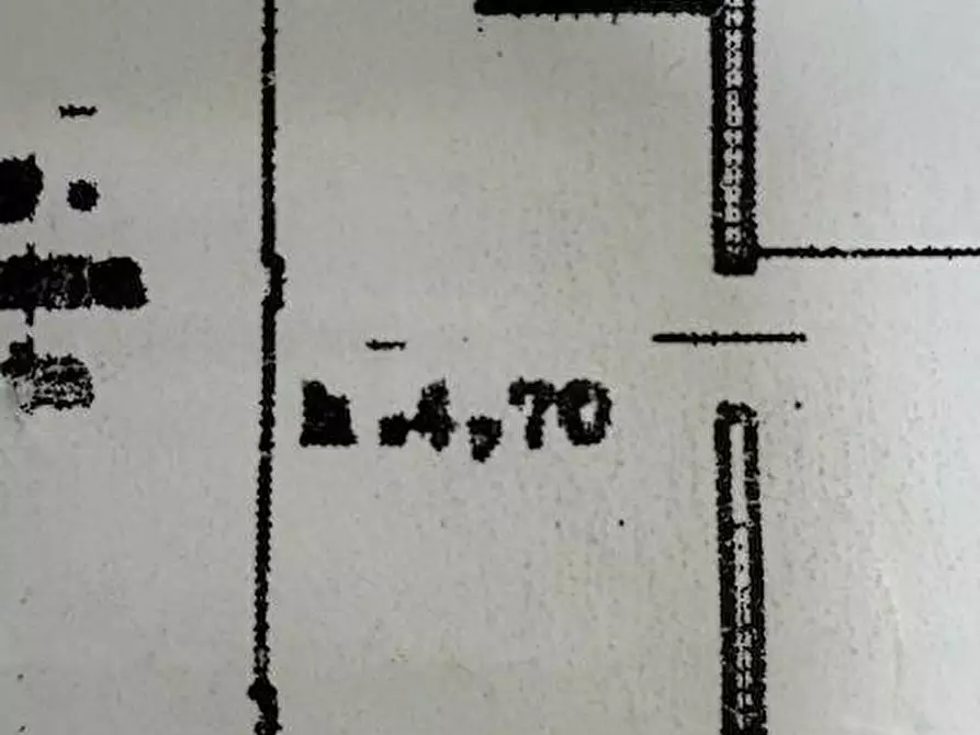 Immagine 1 di Attività commerciale in affitto  a Carrara