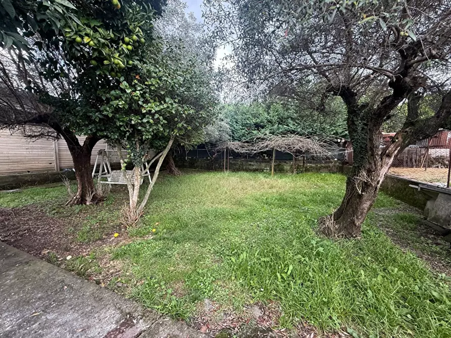 Immagine 8 di Casa indipendente in vendita  a Massa
