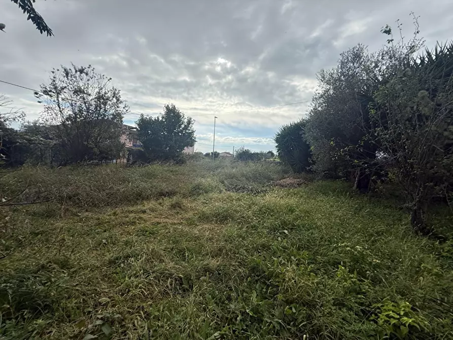 Immagine 9 di Casa indipendente in vendita  a Massa