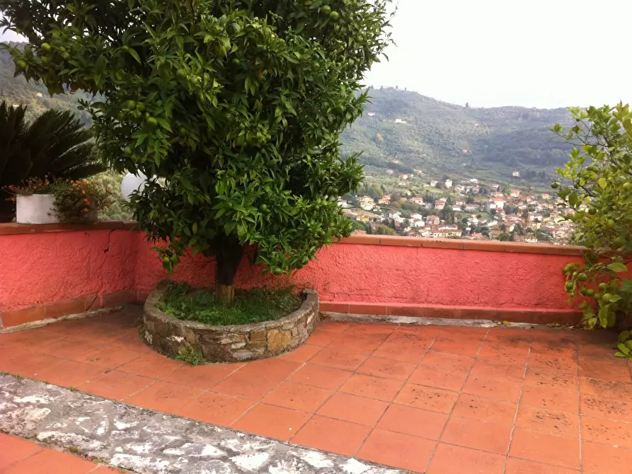 Immagine 4 di Villa in vendita  a Massarosa