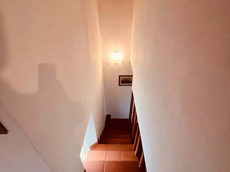 Immagine 29 di Appartamento in vendita  a Cecina