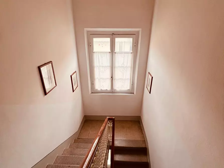 Immagine 31 di Appartamento in vendita  a Cecina