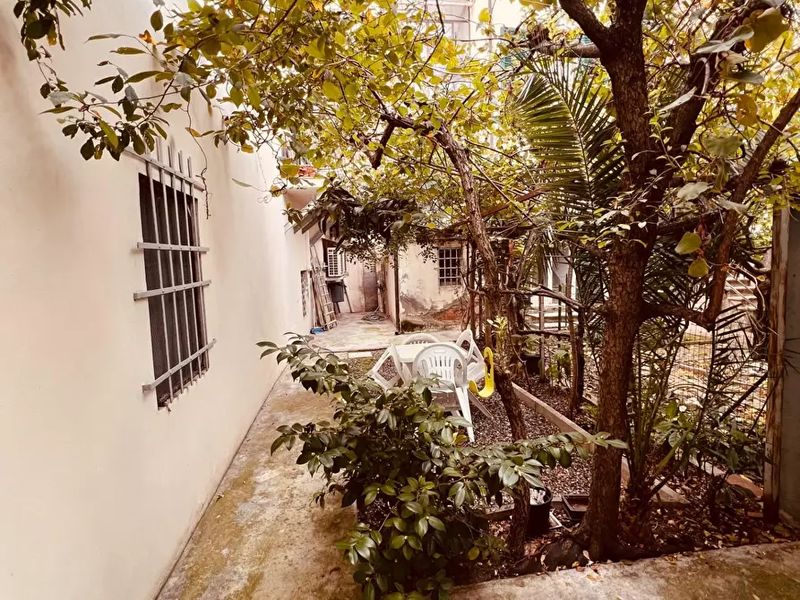 Immagine 36 di Appartamento in vendita  a Cecina