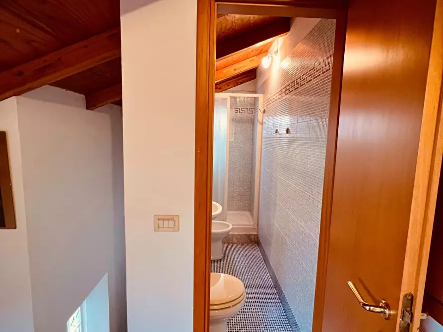 Immagine 24 di Appartamento in vendita  a Cecina