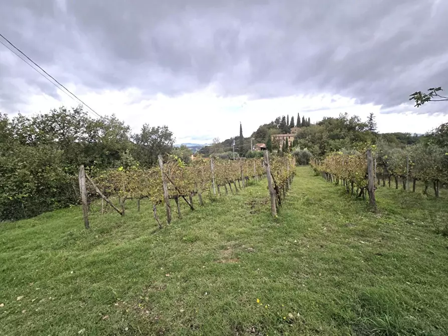 Immagine 9 di Casa semindipendente in vendita  a Casole D'elsa