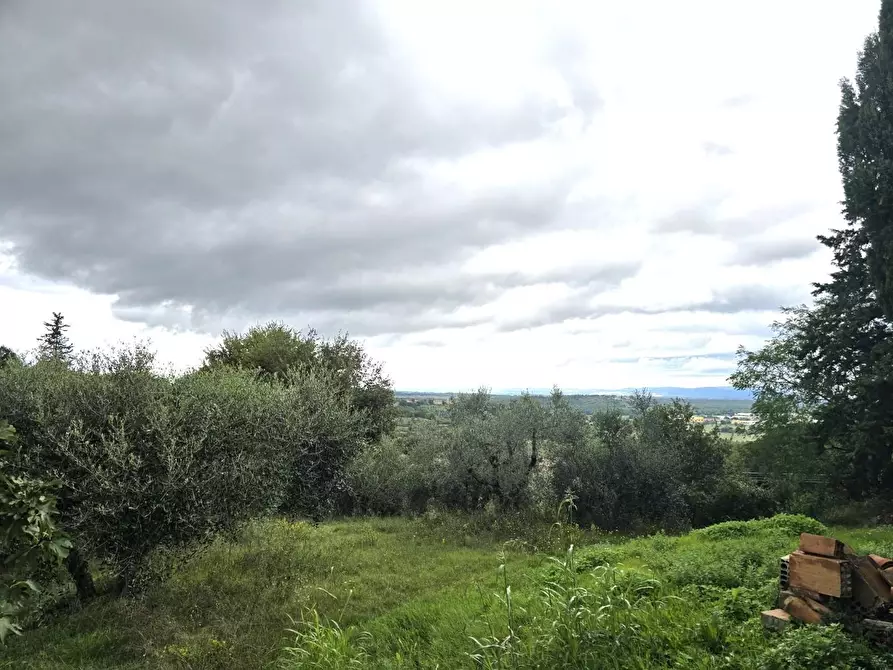 Immagine 8 di Casa semindipendente in vendita  a Casole D'elsa