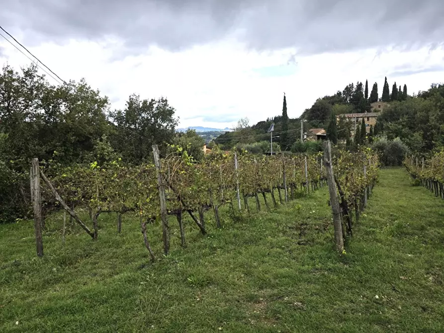 Immagine 3 di Casa semindipendente in vendita  a Casole D'elsa