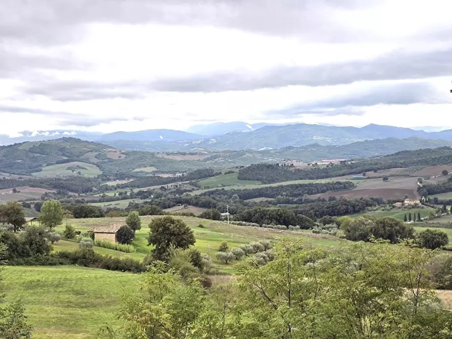 Immagine 4 di Casa semindipendente in vendita  a Casole D'elsa