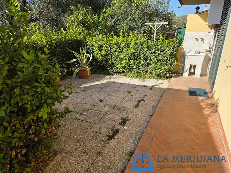 Immagine 29 di Terratetto in vendita  a Lamporecchio