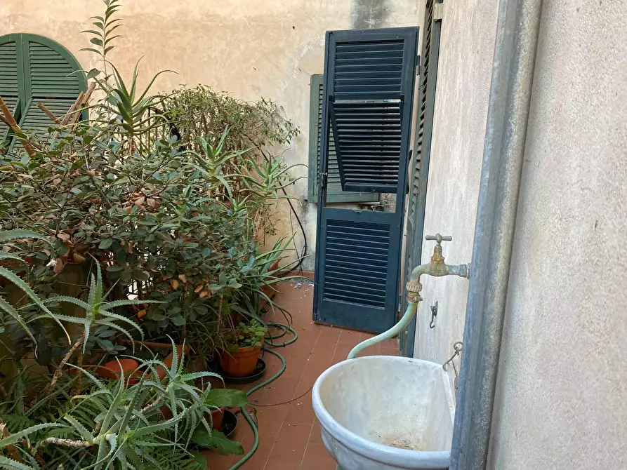 Immagine 10 di Appartamento in affitto  a Pisa