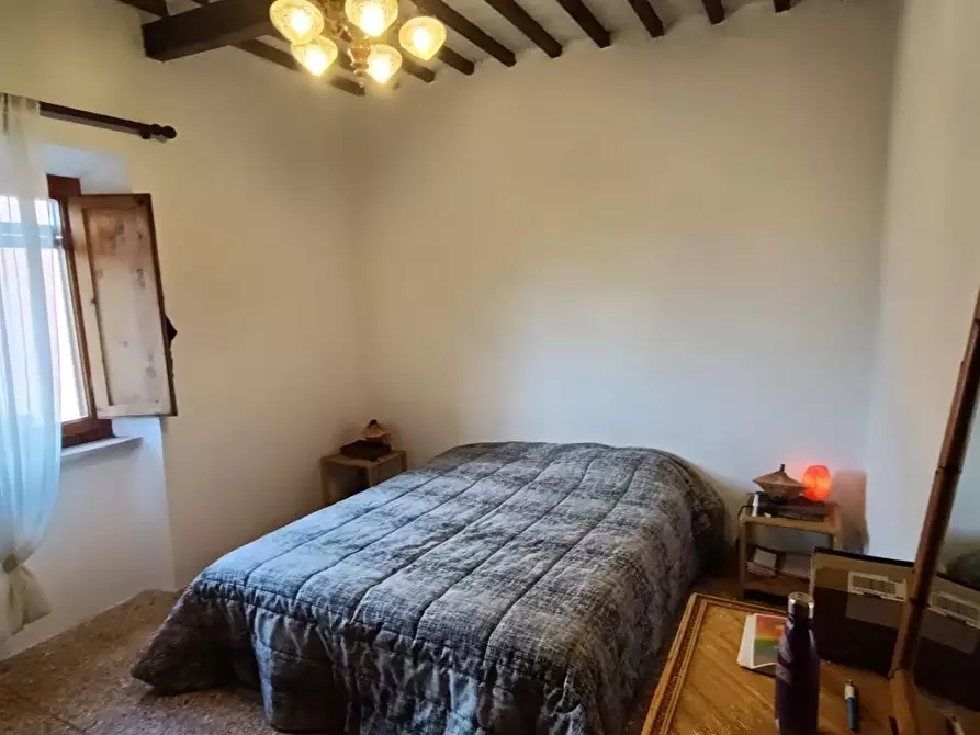 Immagine 8 di Terratetto in vendita  a San Giuliano Terme