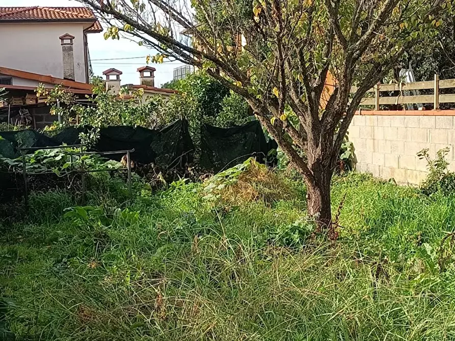 Immagine 11 di Terratetto in vendita  a San Giuliano Terme