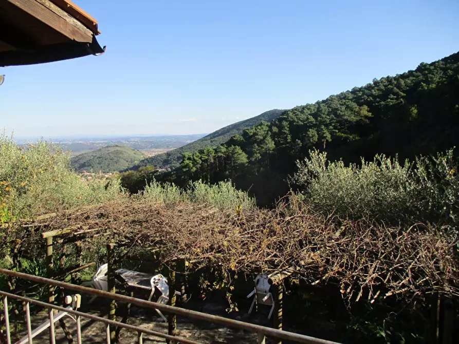 Immagine 16 di Casa colonica in vendita  a Buti