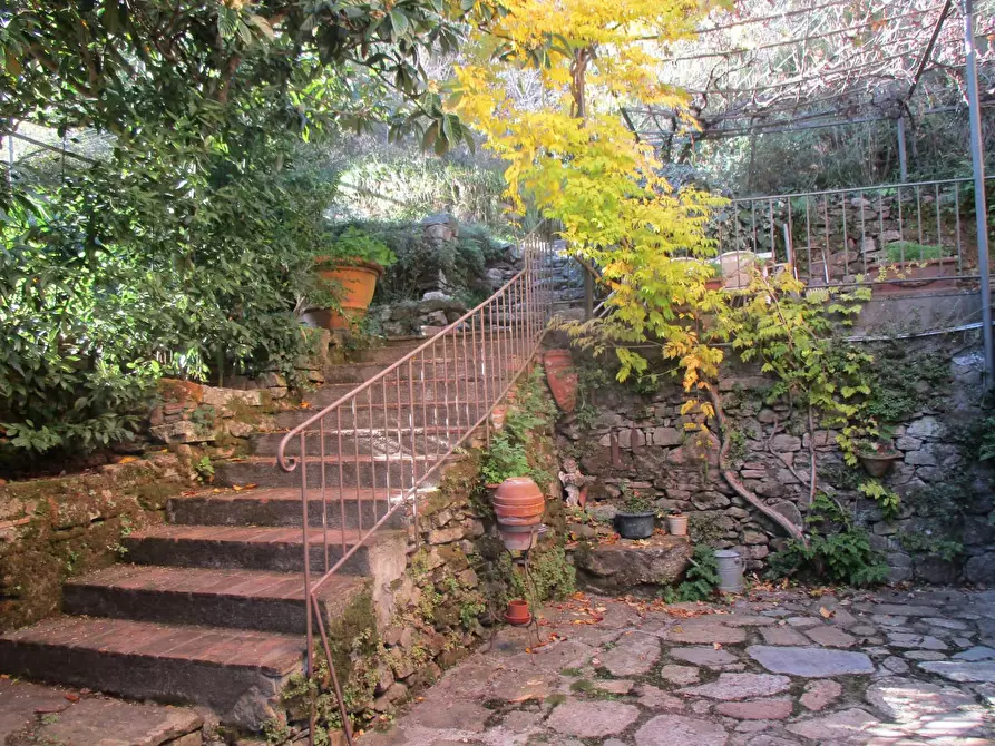 Immagine 2 di Casa colonica in vendita  a Buti