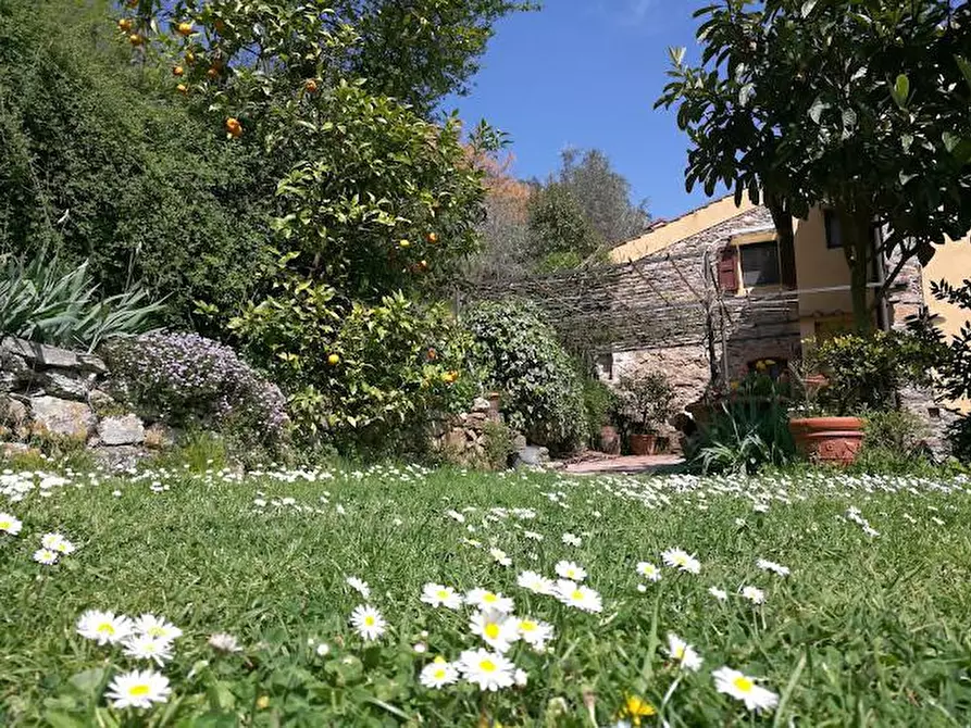 Immagine 5 di Casa colonica in vendita  a Buti