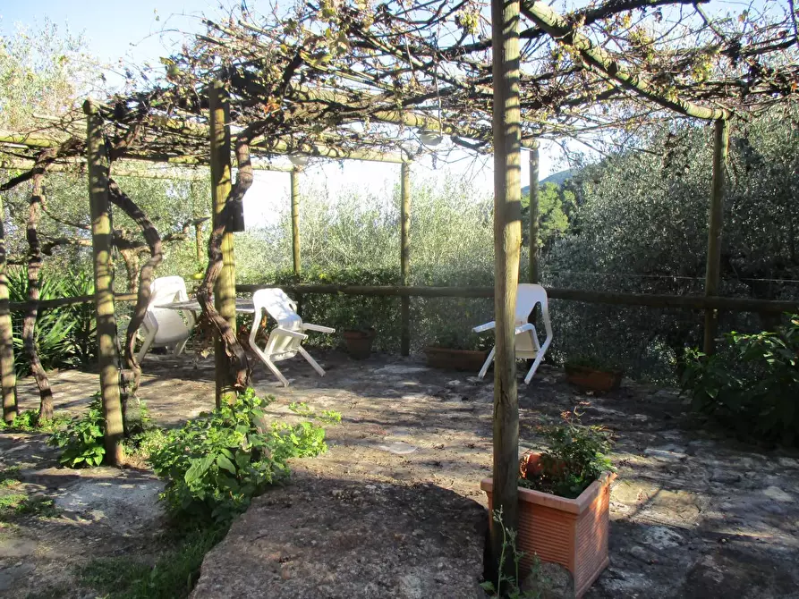 Immagine 10 di Casa colonica in vendita  a Buti