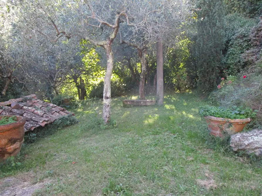 Immagine 6 di Casa colonica in vendita  a Buti