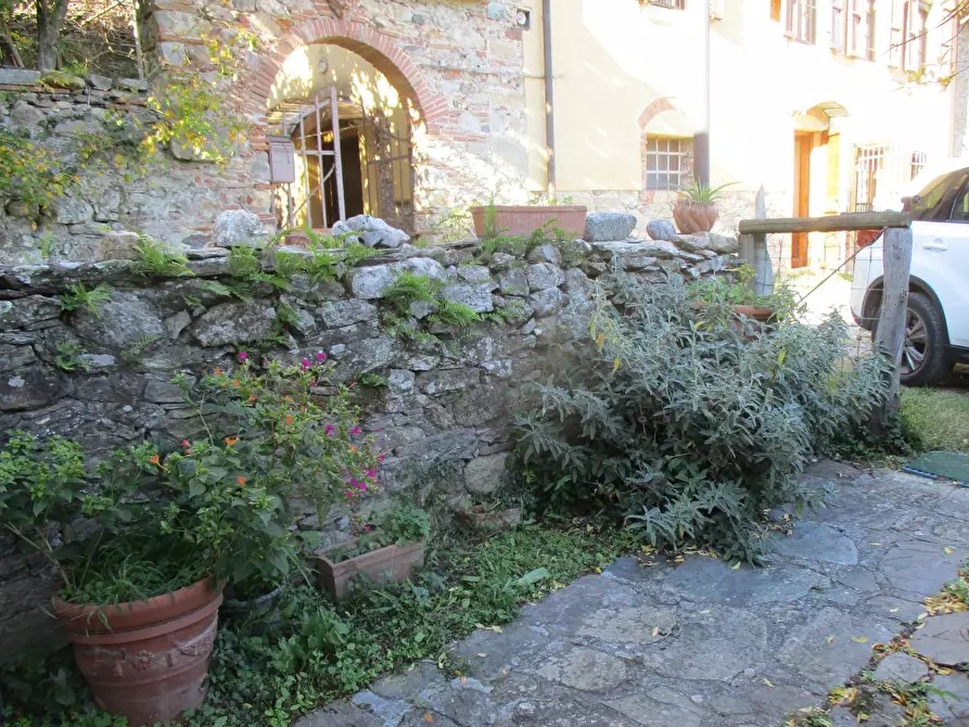 Immagine 9 di Casa colonica in vendita  a Buti