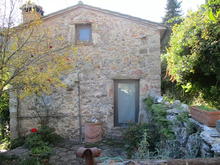 Immagine 7 di Casa colonica in vendita  a Buti