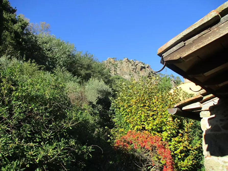 Immagine 15 di Casa colonica in vendita  a Buti