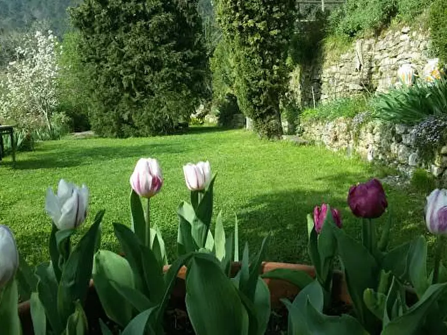 Immagine 3 di Casa colonica in vendita  a Buti