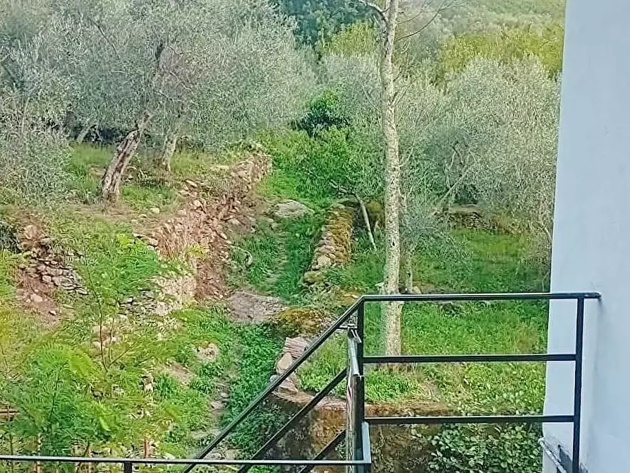 Immagine 16 di Villa in vendita  a Calci