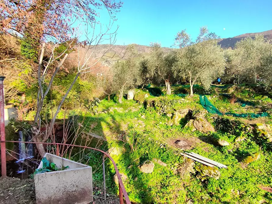 Immagine 17 di Villa in vendita  a Calci