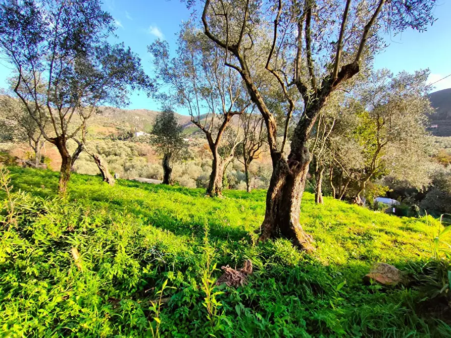 Immagine 20 di Villa in vendita  a Calci