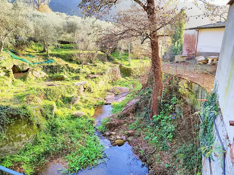 Immagine 21 di Villa in vendita  a Calci