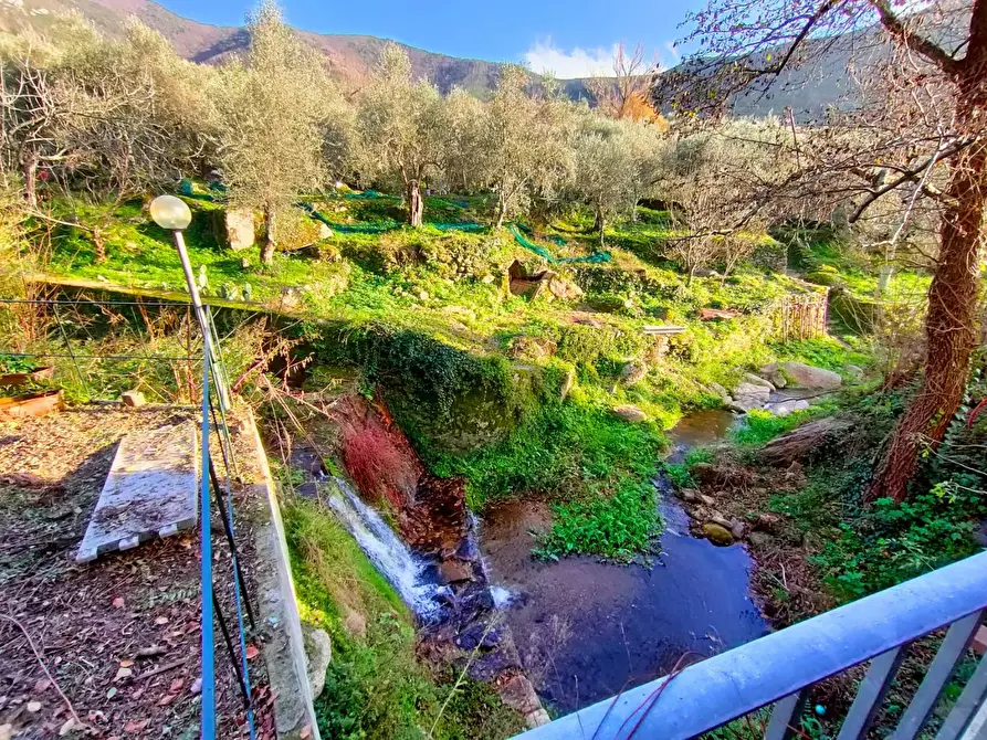 Immagine 19 di Villa in vendita  a Calci