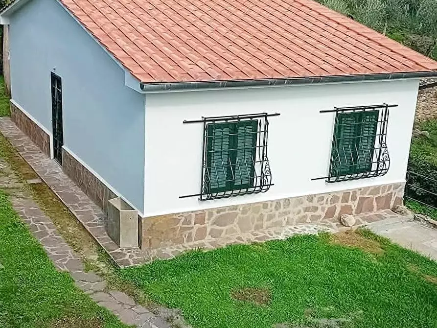 Immagine 5 di Villa in vendita  a Calci