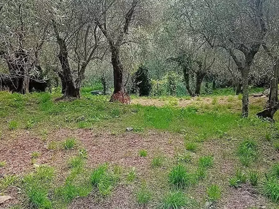 Immagine 18 di Villa in vendita  a Calci