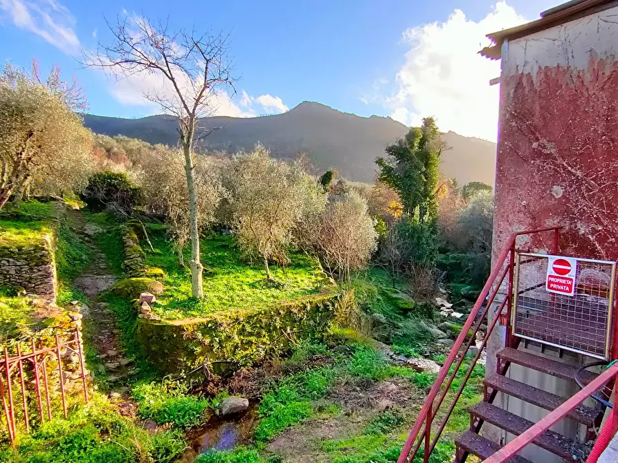 Immagine 15 di Villa in vendita  a Calci