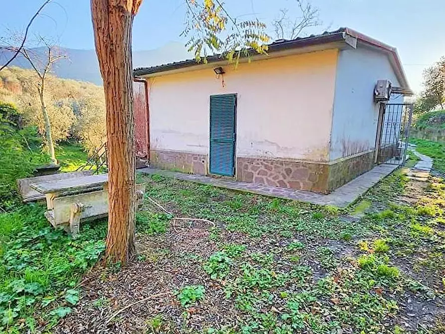 Immagine 11 di Villa in vendita  a Calci