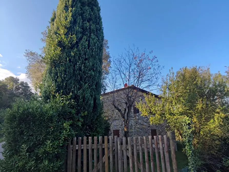 Immagine 3 di Casa colonica in vendita  a Scansano