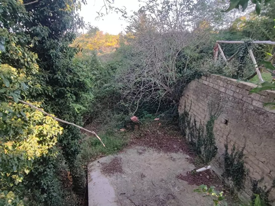Immagine 33 di Casa colonica in vendita  a Scansano