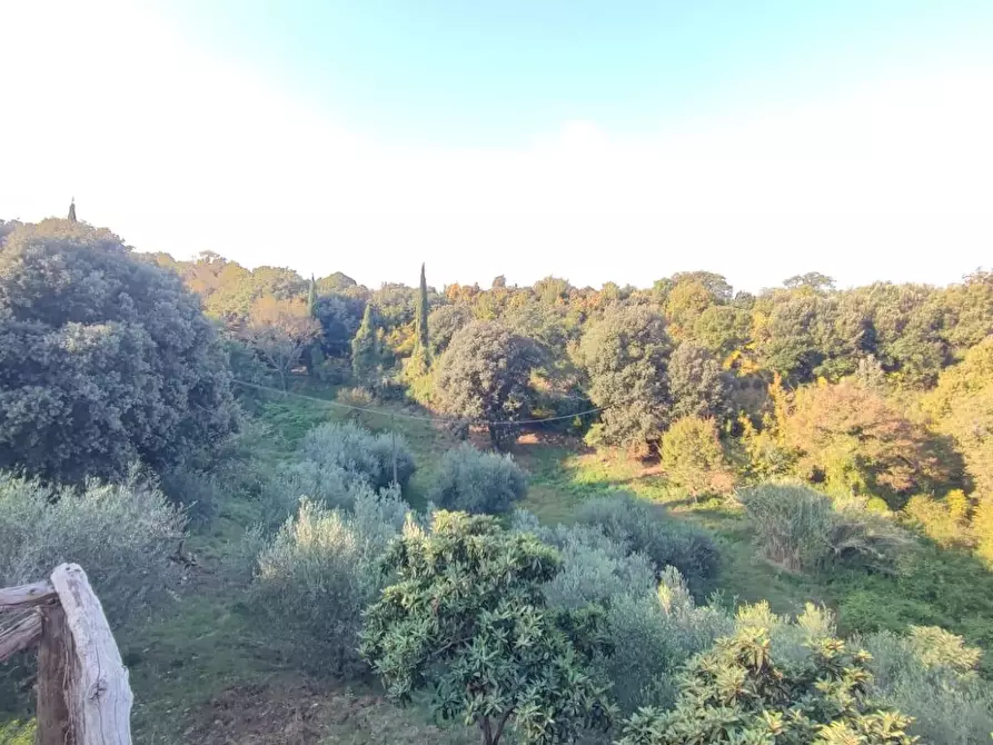 Immagine 38 di Casa colonica in vendita  a Scansano