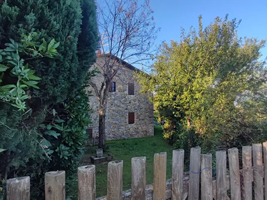 Immagine 4 di Casa colonica in vendita  a Scansano