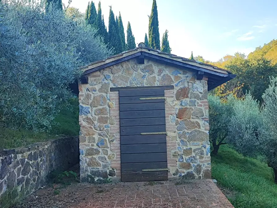 Immagine 31 di Casa colonica in vendita  a Scansano