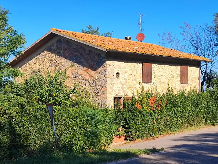 Immagine 6 di Casa colonica in vendita  a Scansano