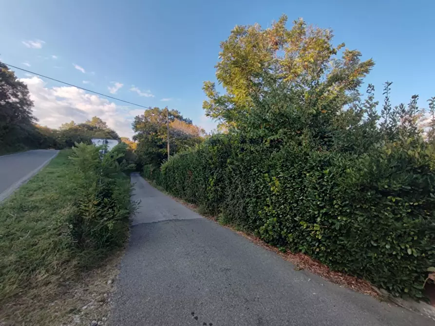 Immagine 39 di Casa colonica in vendita  a Scansano