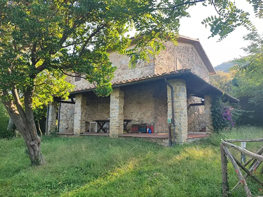 Immagine 30 di Casa colonica in vendita  a Scansano