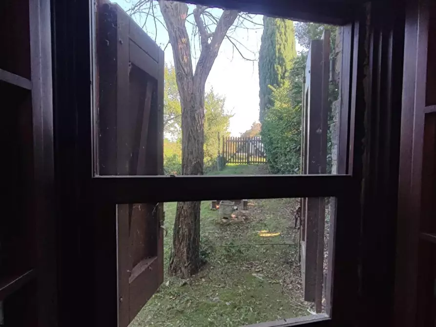 Immagine 18 di Casa colonica in vendita  a Scansano