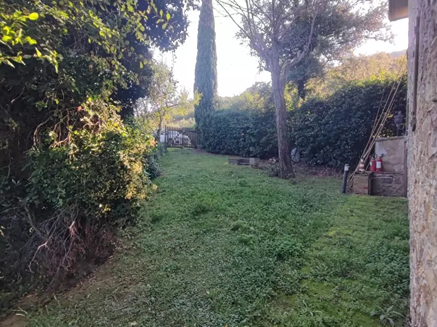 Immagine 40 di Casa colonica in vendita  a Scansano