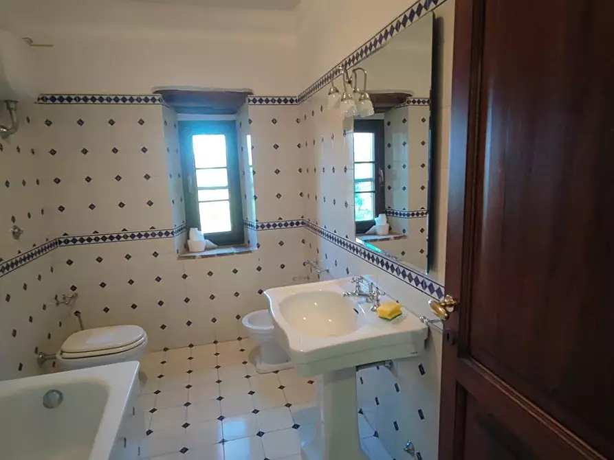 Immagine 14 di Casa colonica in vendita  a Scansano