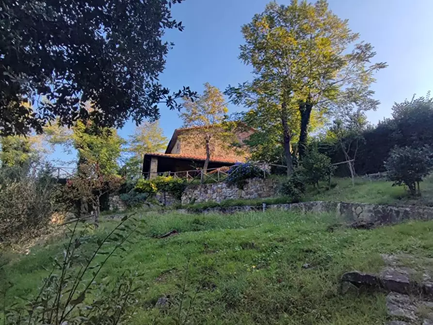 Immagine 28 di Casa colonica in vendita  a Scansano